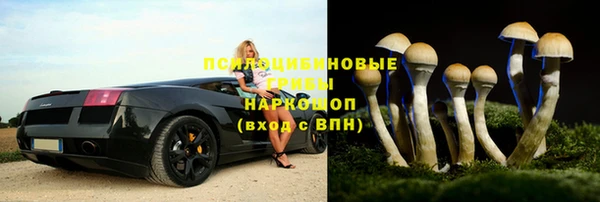 бошки Баксан